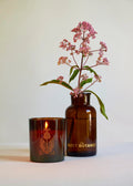 The Quiet Botanist In The Weeds Candle