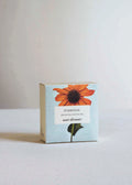 The Quiet Botanist Everyday Bar Soap