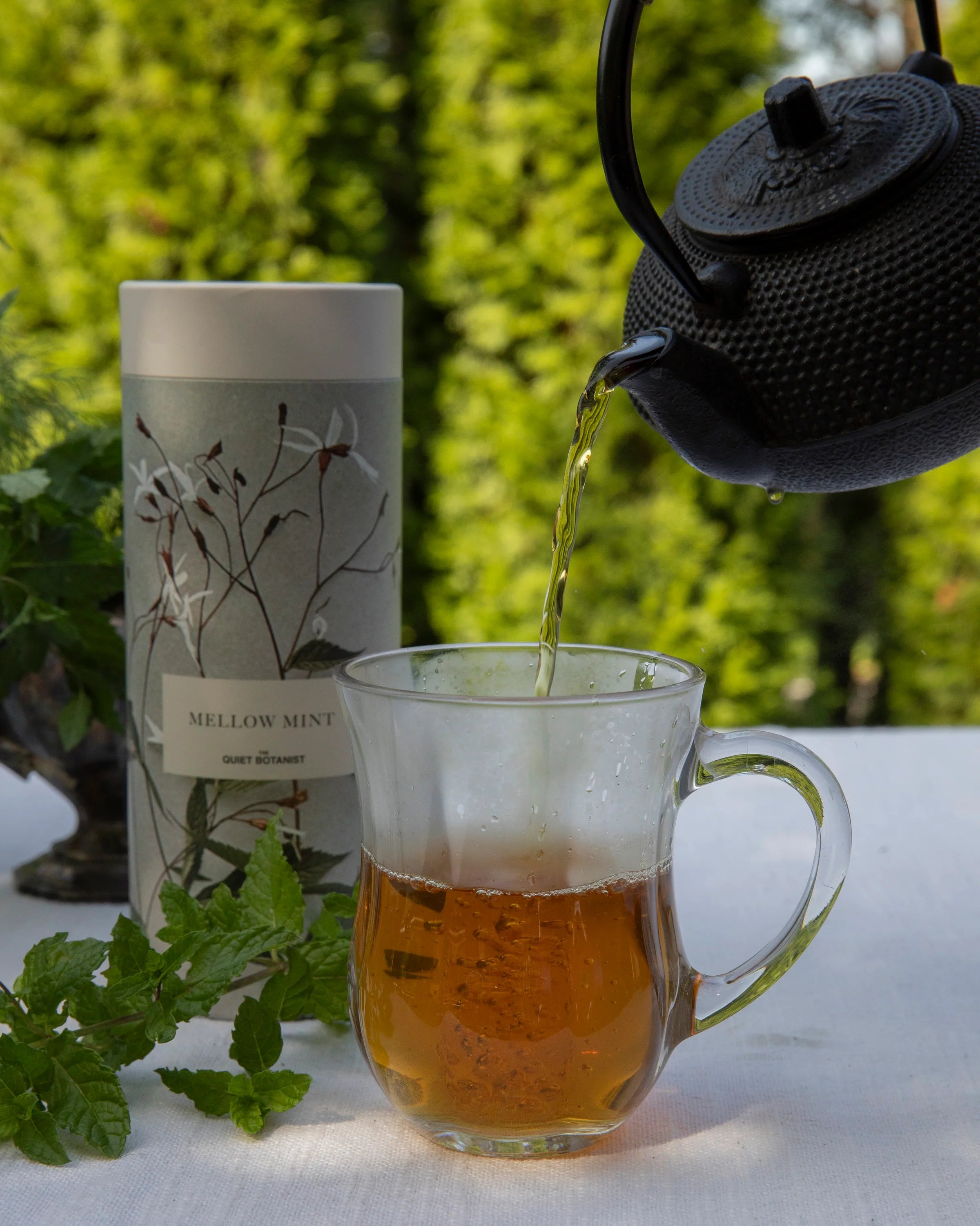 The Quiet Botanist Mellow Mint Tea Set