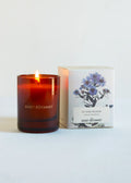 The Quiet Botanist In The Weeds - Mini Candle