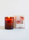 The Quiet Botanist Orchard Sun - Mini Candle
